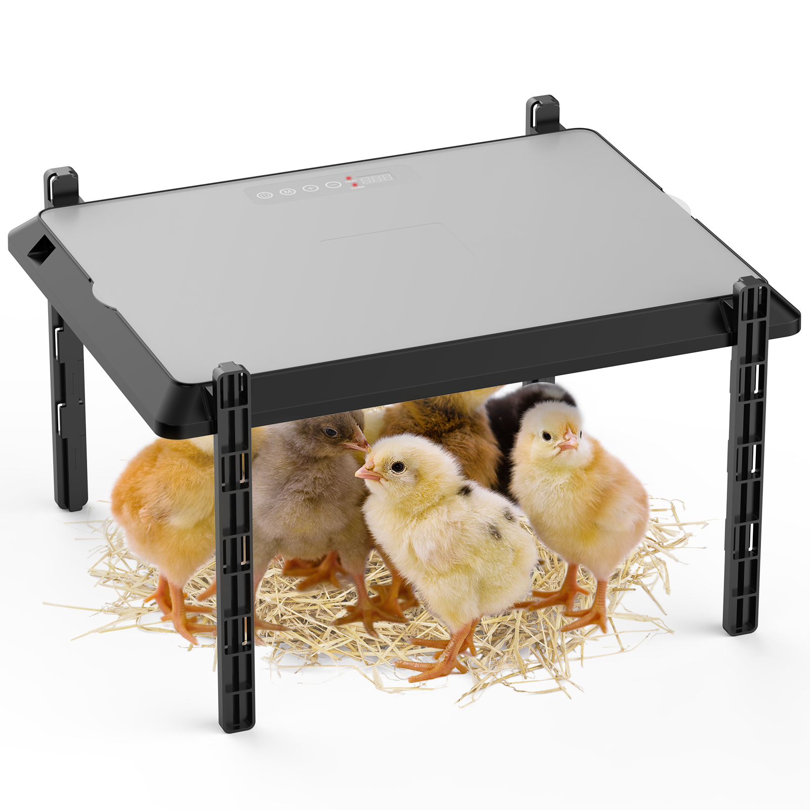 12 * 15 Inch Brooder Heat Plate for Chicks or Ducklings, Adjustable Height Chicken Brooder Heater for 20 Chicks.Chicken Coop Heater with Safety Indicator, 75 Watts