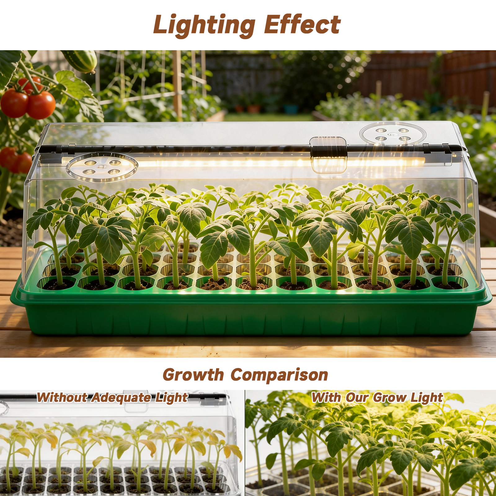 72 Cells Seed Starter Tray with Grow Light, Seed Starter Kit Full Spectrum with 5 Dimmable Brightness & Timer, Indoor Plant Grow Tray for Beginners & Seasoned Gardeners, Gardening Gifts
